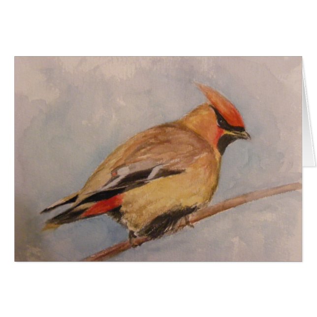 CederträWaxwing Hälsningskort (Framsidan Horizontal)