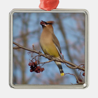 CederträWaxwing Julgransprydnad Metall
