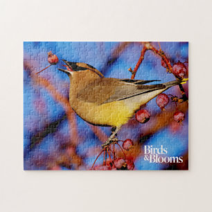 CederträWaxwing Pussel