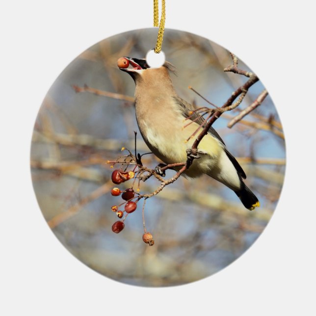 CederträWaxwing som äter bär Julgransprydnad Keramik (Framsidan)