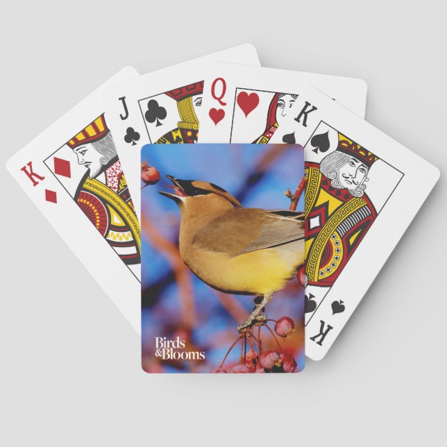 CederträWaxwing Spel Kort (Baksidan)