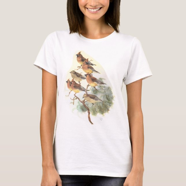 cederträwaxwing t shirt (Framsida)