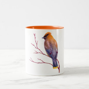 CederträWaxwing Två-Tonad Mugg