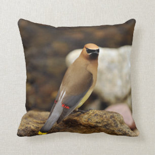 CederträWaxwingamerikanen MoJo kudder Kudde