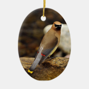 CederträWaxwingprydnad Julgransprydnad Keramik