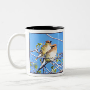 CederträWaxwings Två-Tonad Mugg