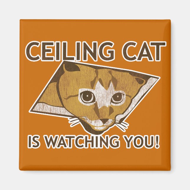 Ceiling Cat tittar på dig! Magnet (Framsidan)
