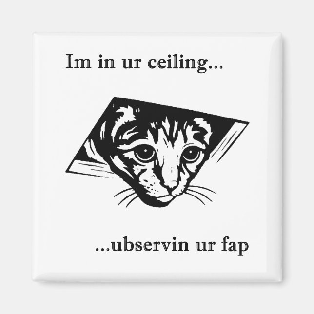 Ceiling Cat ubservin u.. Magnet (Framsidan)
