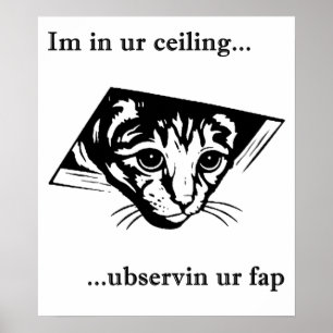 Ceiling Cat ubservin u.. Poster