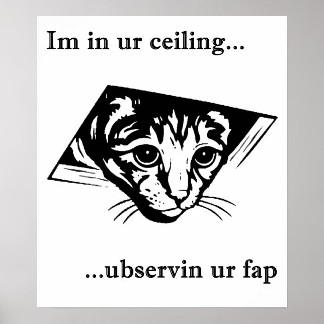 Ceiling Cat ubservin u.. Poster (Framsidan)