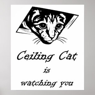 Ceiling Cat vaktar dig Poster
