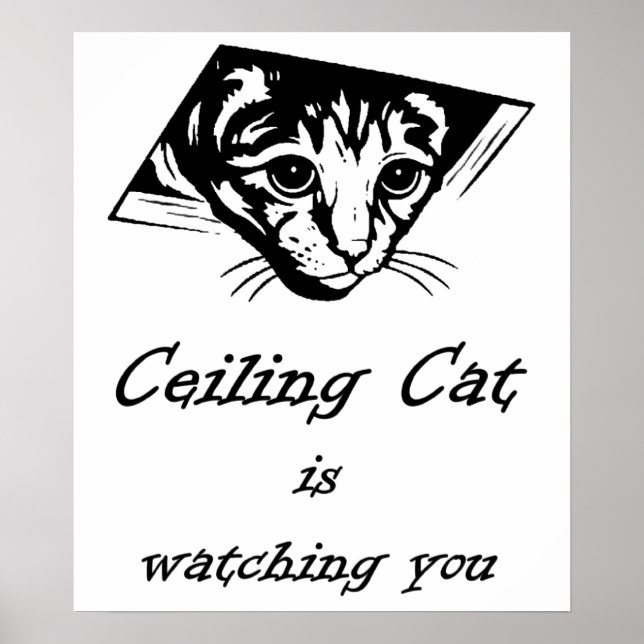 Ceiling Cat vaktar dig Poster (Framsidan)