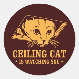 Ceiling Cat vaktar dig Runt Klistermärke