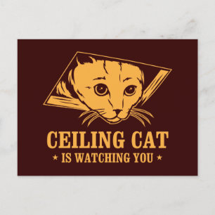 Ceiling Cat vaktar dig Vykort
