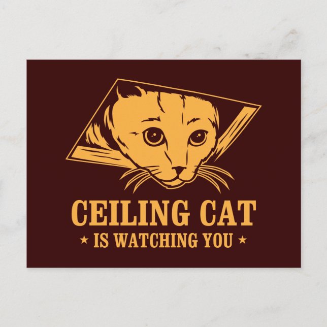 Ceiling Cat vaktar dig Vykort (Framsida)