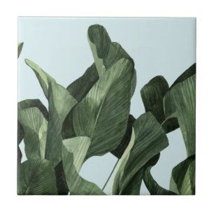 Celadon Handflatan Kakelplatta