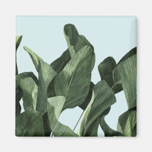 Celadon Handflatan Magnet