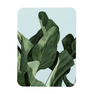 Celadon Handflatan Magnet