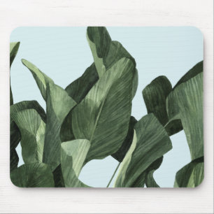 Celadon Handflatan Musmatta