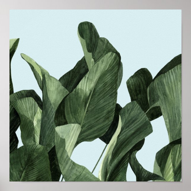 Celadon Handflatan Poster (Framsidan)