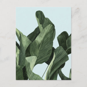 Celadon Handflatan Vykort