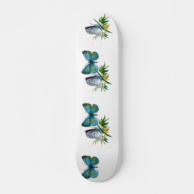Celastrina argiolus (han) skateboard bräda 20 cm (Framsida)