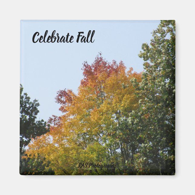 Celebrate Fall Rainbow Träd Magnet (Framsidan)