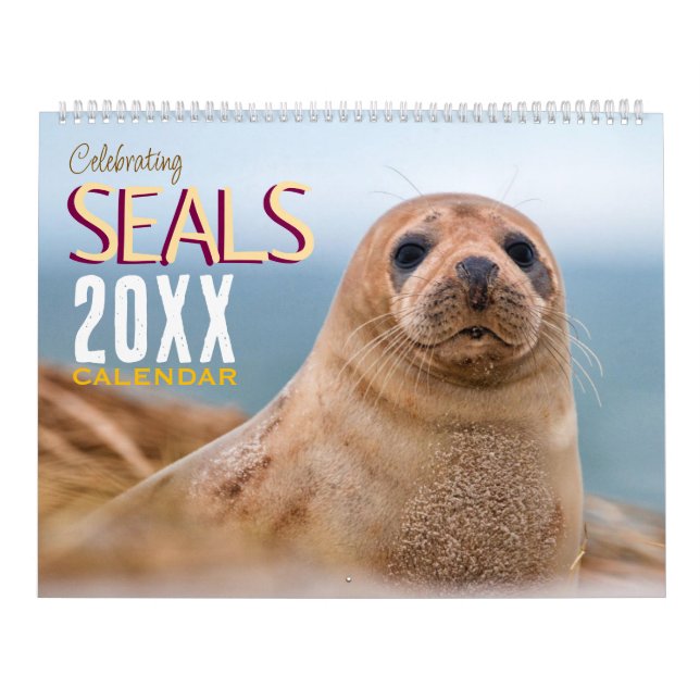 Celebrating Seals Wall Calendar 2026 Wildlife Kalender (Omslag)