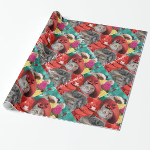 CELEBRITY CAT TRINCESS TATUS, RED HAT MED PIGEON PRESENTPAPPER