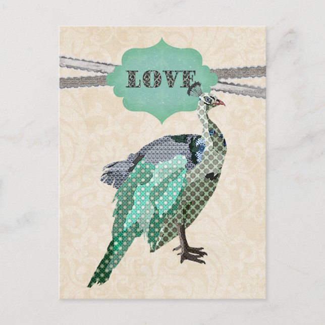 Celeste Peacock    LovePostcard Vykort (Framsida)