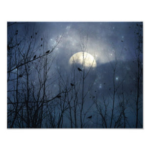 Celestial Blue Crystal-Kråkor Fototryck