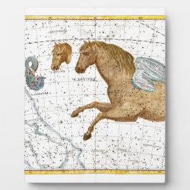 Celestial Karta Pegasus
