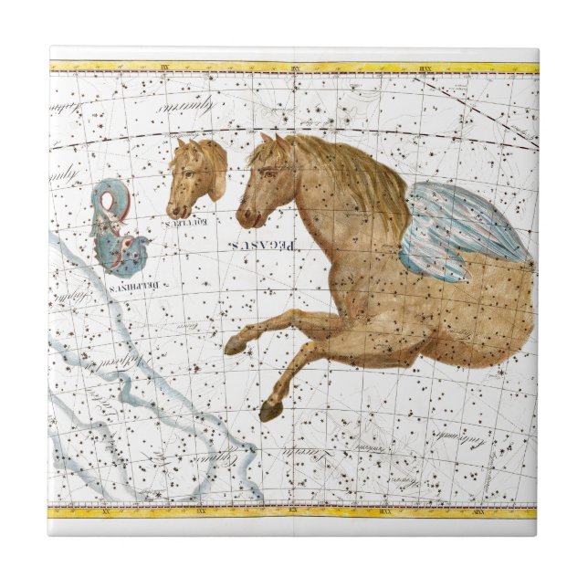 Celestial Karta Pegasus Kakelplatta (Framsidan)