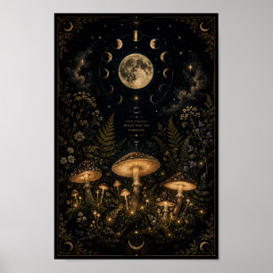 Celestial Mushroom Garden Affisch