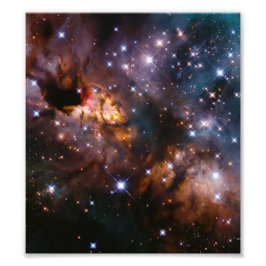 Celestial Prawn Drifting Through the Cosmic Deep Fototryck