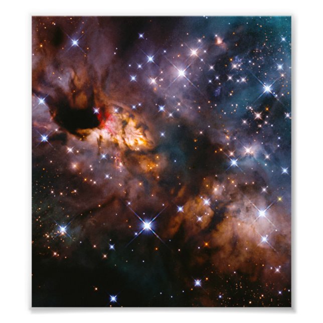 Celestial Prawn Drifting Through the Cosmic Deep Fototryck (Framsidan)