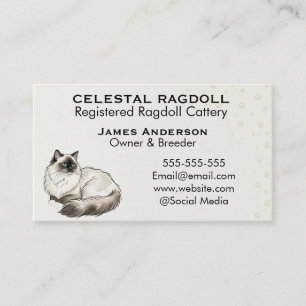 Celestial Ragdoll Registrerad Katt Uppfödning Före Visitkort