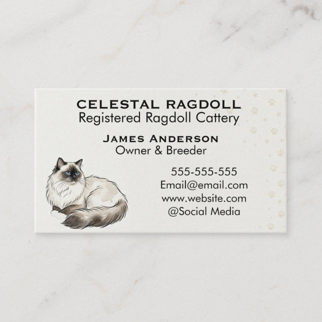 Celestial Ragdoll Registrerad Katt Uppfödning Före Visitkort (Framsida)