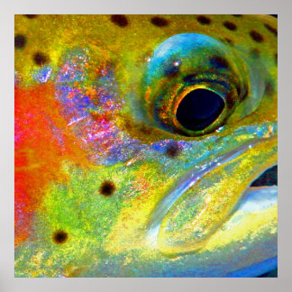 ’Celestial Rainbow’ Poster