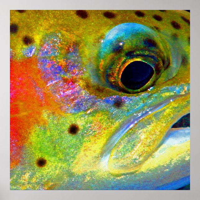 ’Celestial Rainbow’ Poster (Framsidan)