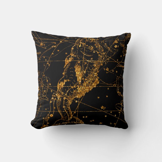 Celestial Star Karta Astrological Guld Pisces Fish Kudde (Framsida)