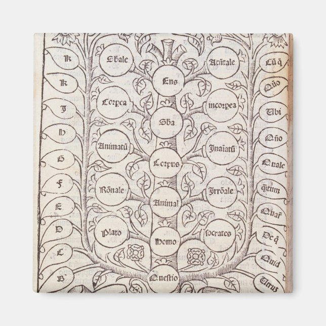 Celestial stege magnet (Framsidan)