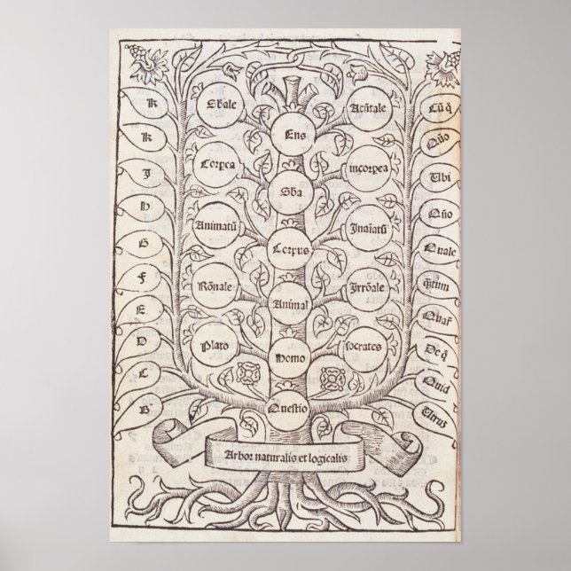 Celestial stege poster (Framsidan)