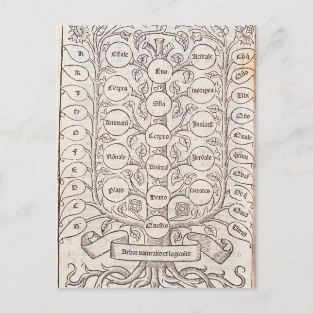 Celestial stege vykort (Framsida)