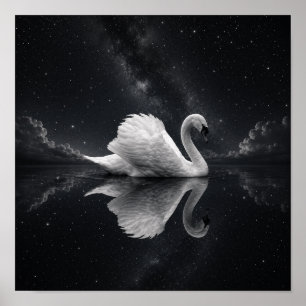 Celestial Swan Reflektion Poster Svart & Vitt S