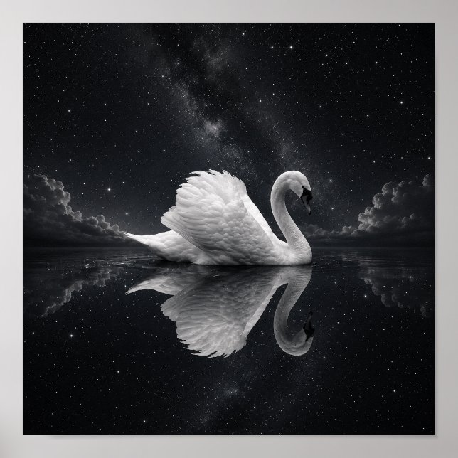 Celestial Swan Reflektion Poster | Svart & Vitt S (Framsidan)