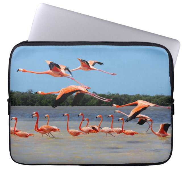Celestun biosfär reserverar laptop sleeve (Framsidan)