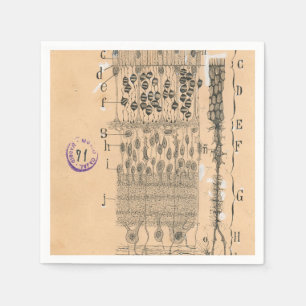Cell Teckning Öga Retina Santiago Ramon Y Cajal Pappersservett