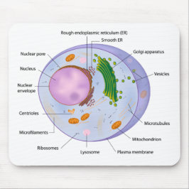 Cellen strukturerar mousepad musmatta