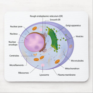Cellen strukturerar mousepad musmatta